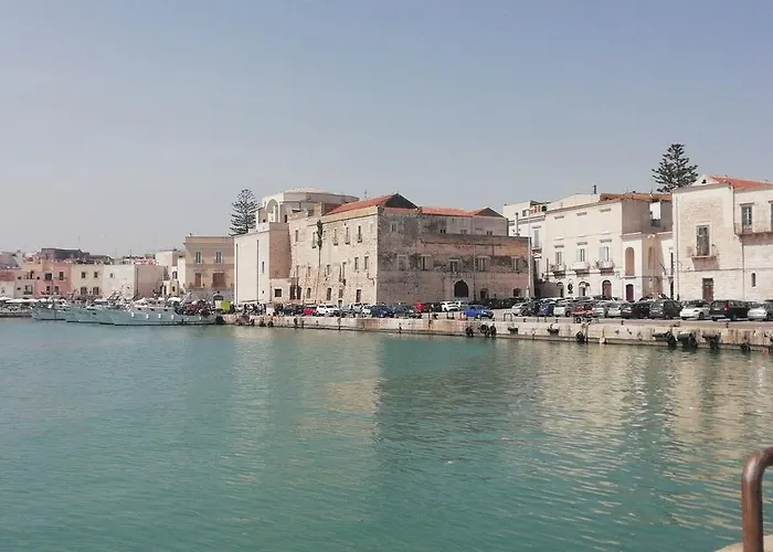 Suite210 招待所 特拉尼